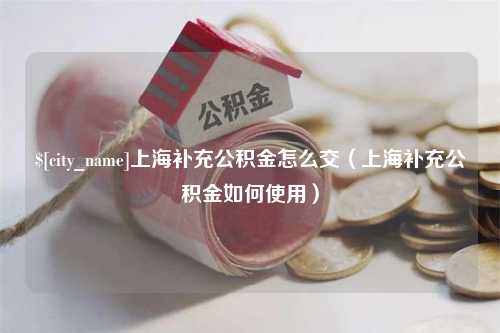 河源上海补充公积金怎么交（上海补充公积金如何使用）